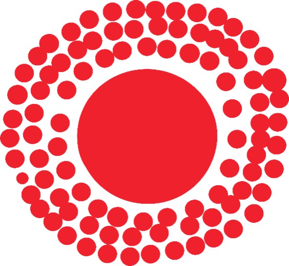 Indigenous Leadership Program artwork